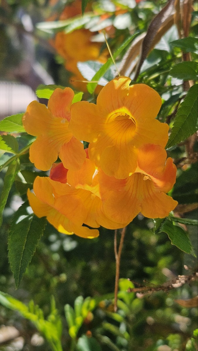 KakaoTalk_20260614_193353094_01.jpg