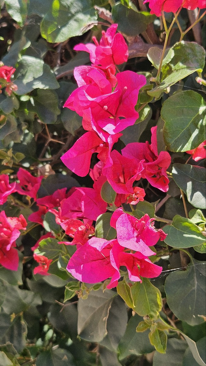 KakaoTalk_20260614_193353094.jpg
