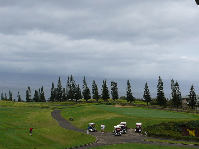 Hawwai  . 03 05 2009 Maui  Travel 010.jpg