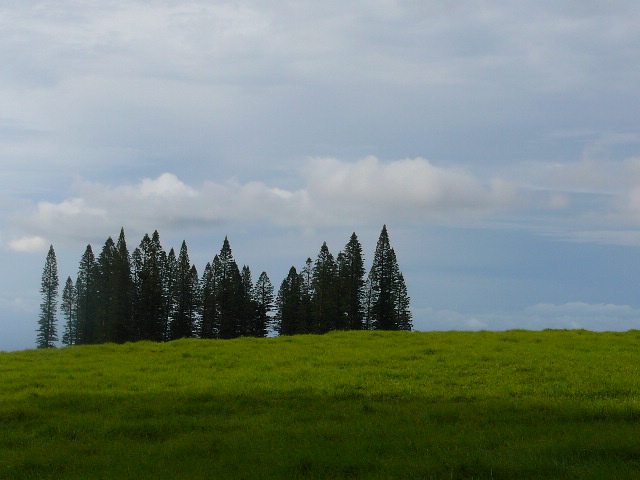 Hawwai  . 03 05 2009 Maui  Travel 017.jpg