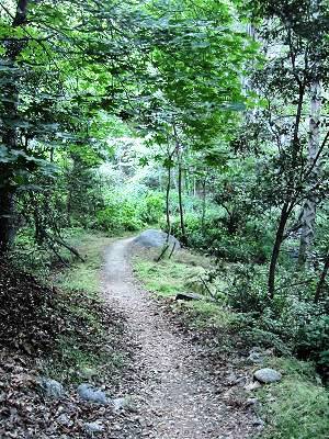 WinterCreek1.jpg