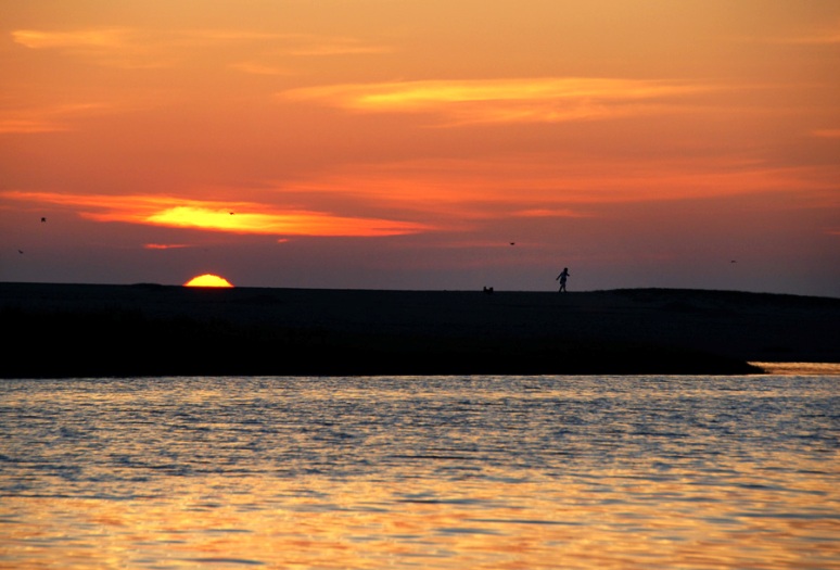 DSC_0248.jpg