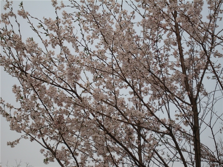 img_0552_jongsulim.jpg