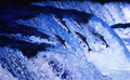 ae3438-005-ihchun.jpg