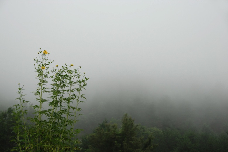 DSC_0101e.jpg
