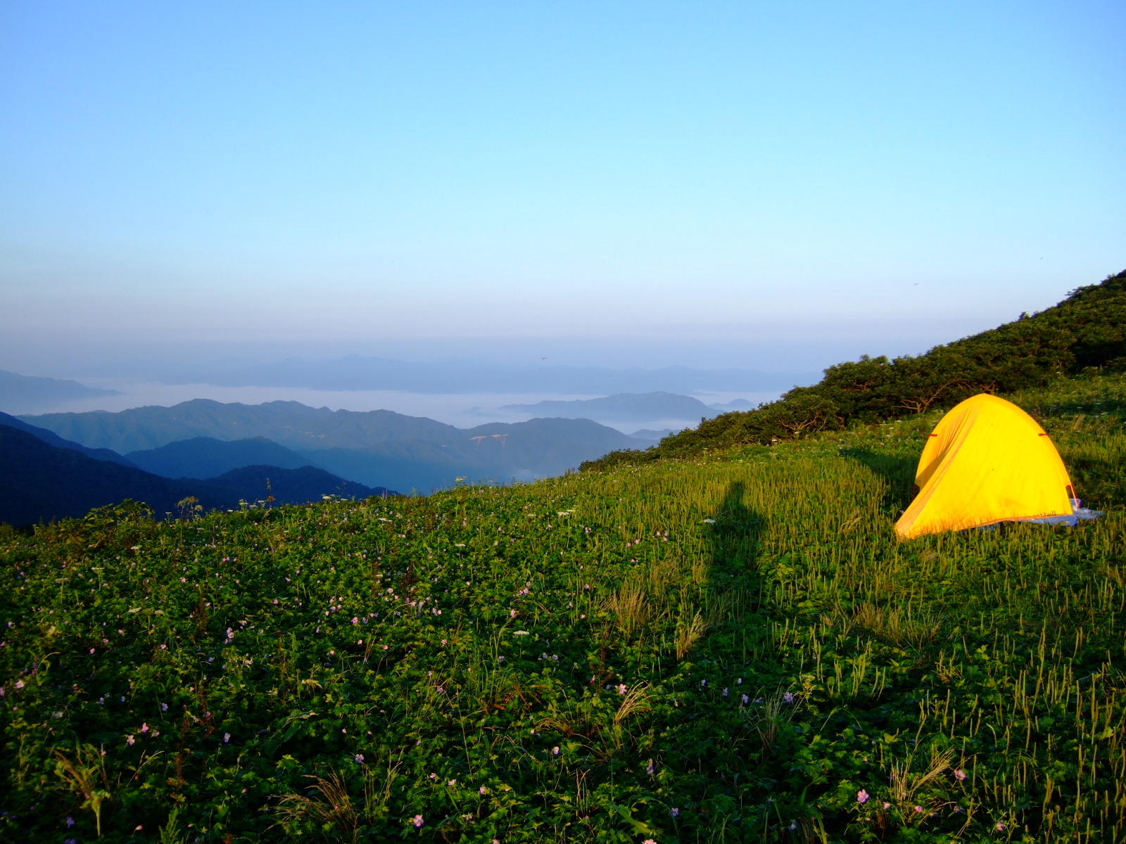 DSCF1317.jpg