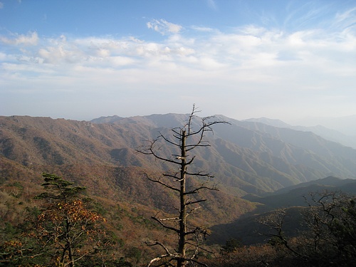 jse_IMG_0866.jpg