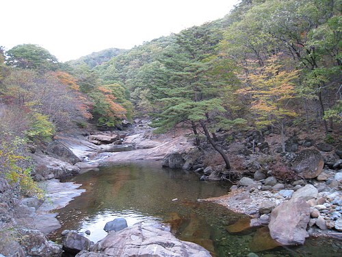 jse_IMG_0913.jpg