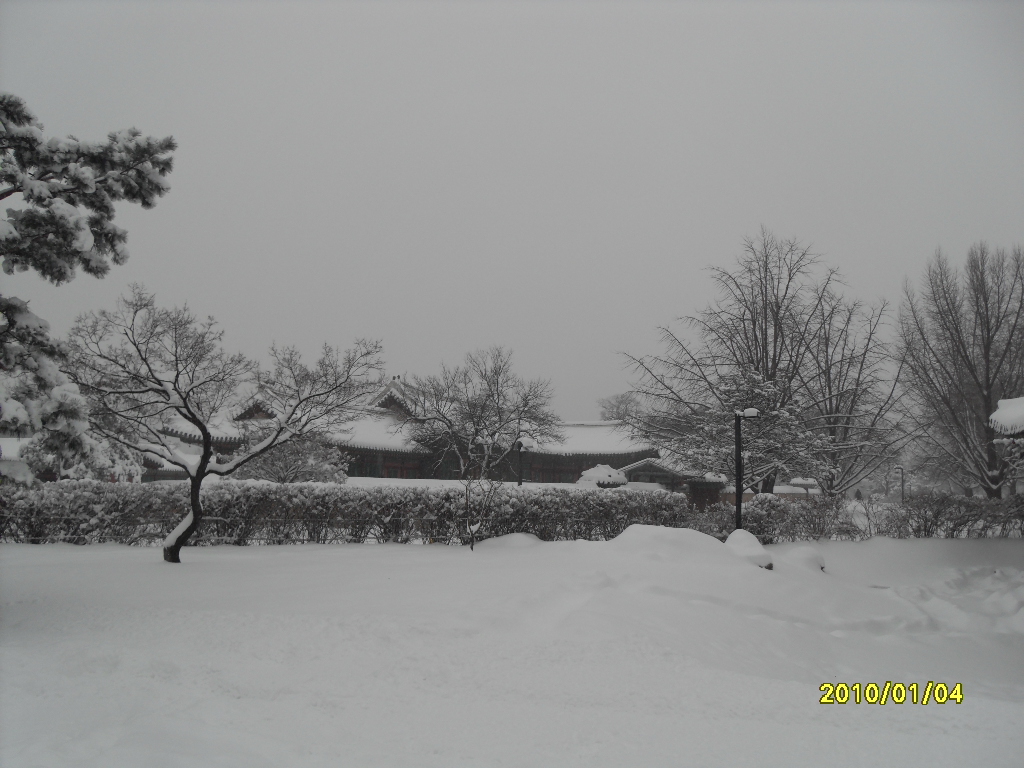 SDC18760.JPG