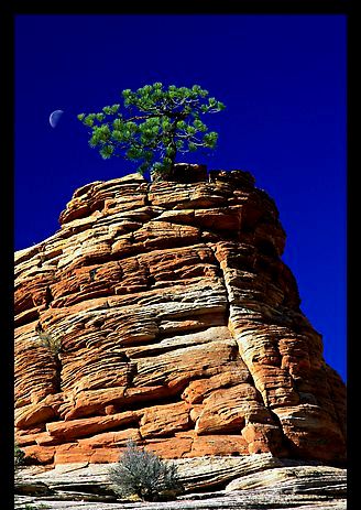 zion0772.jpg