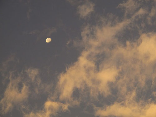 %20co%20IMG_5434[1].jpg