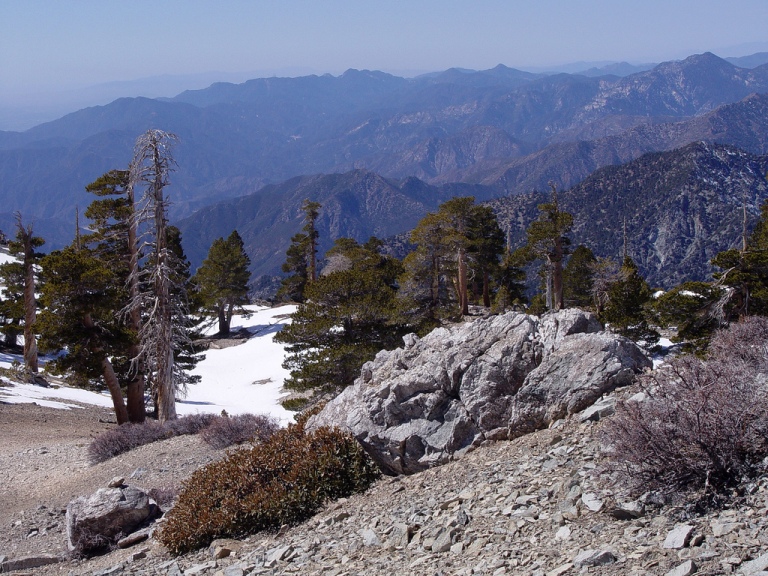 baldy2.jpg