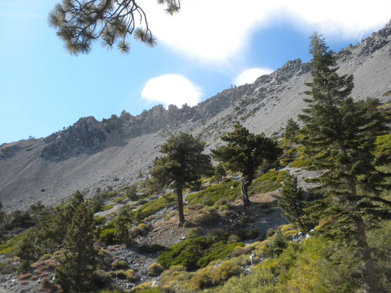 mtbaldy10211%20090.jpg
