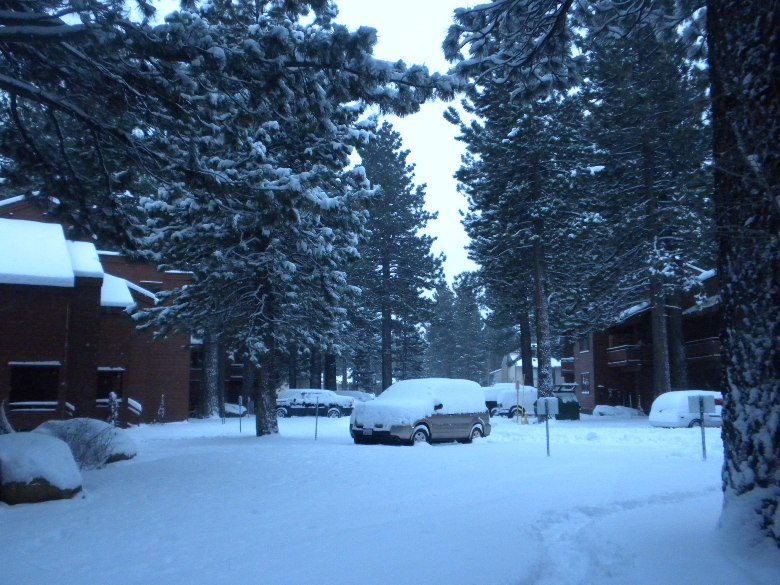 mammoth1109 011.jpg