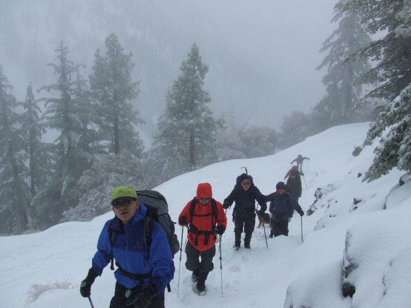 baldy10708030.jpg