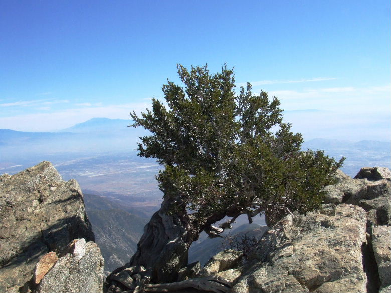 cucamonga1008%20097.jpg