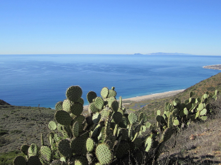 Mugu-20.jpg