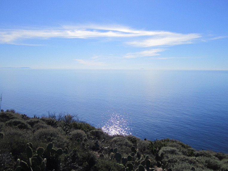 Mugu-21.jpg