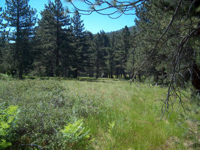 RedTahquitz1.jpg