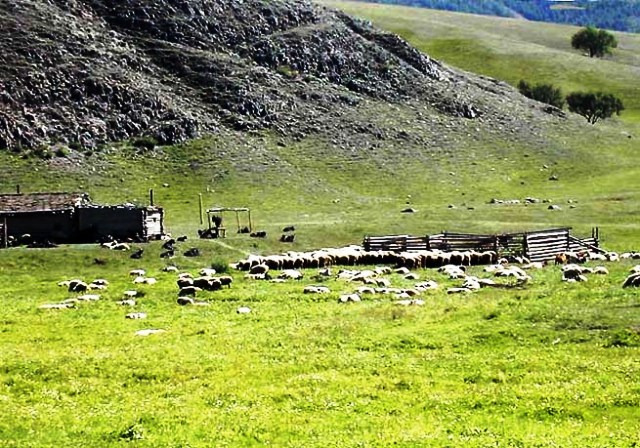 mongolia_20p_2.jpg