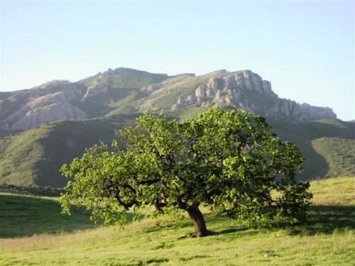 Scenery1.jpg
