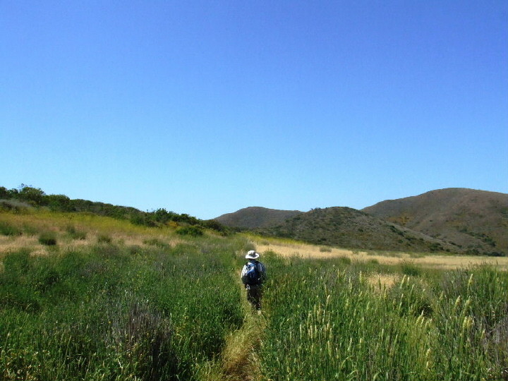 Mugu13.jpg