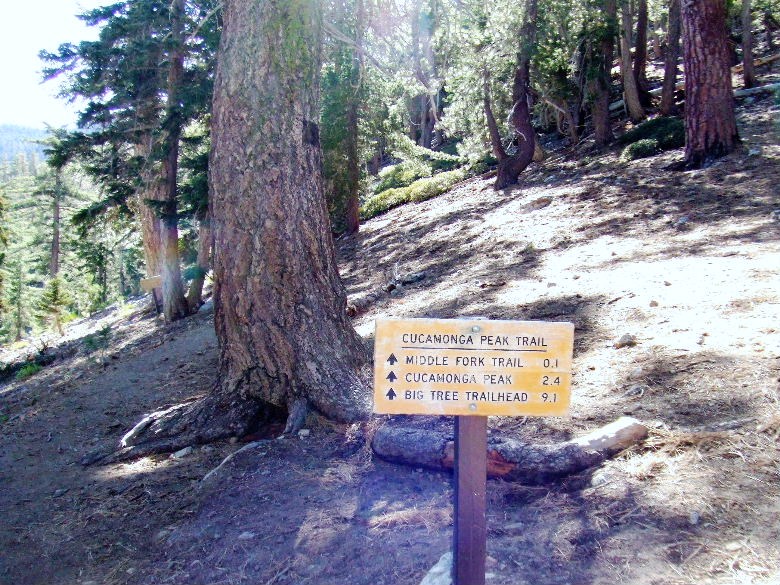cucamonga1008%20043.jpg