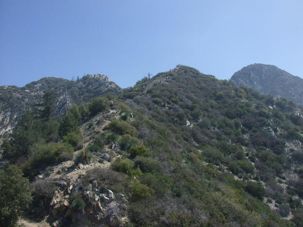 600_3850180.jpg