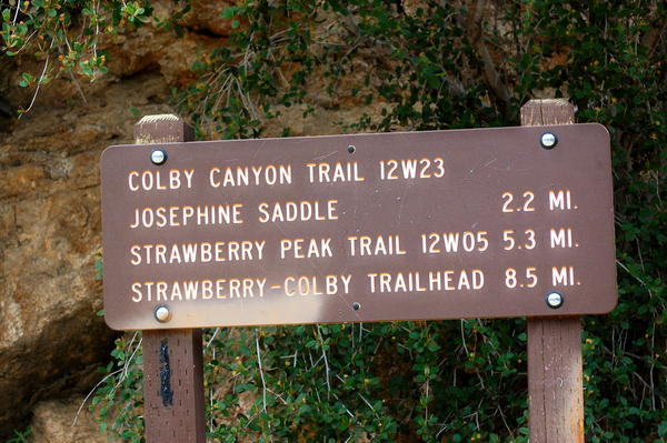 600_3876326.jpg
