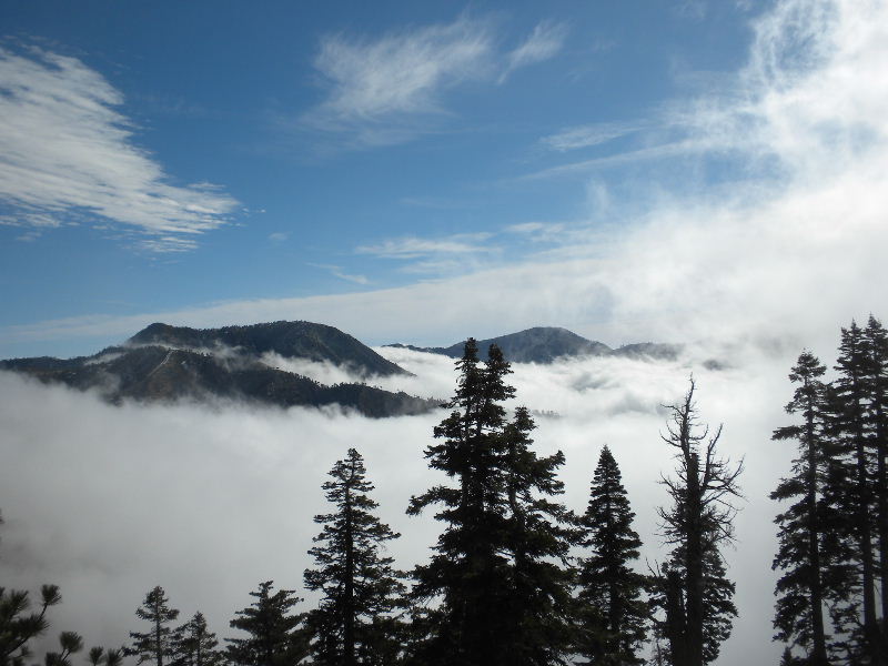 baldy120609 053.jpg