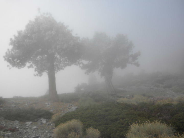baldy120609%20068.jpg