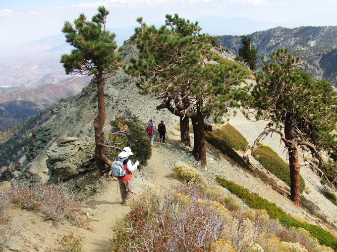 baldy92808%20043.jpg