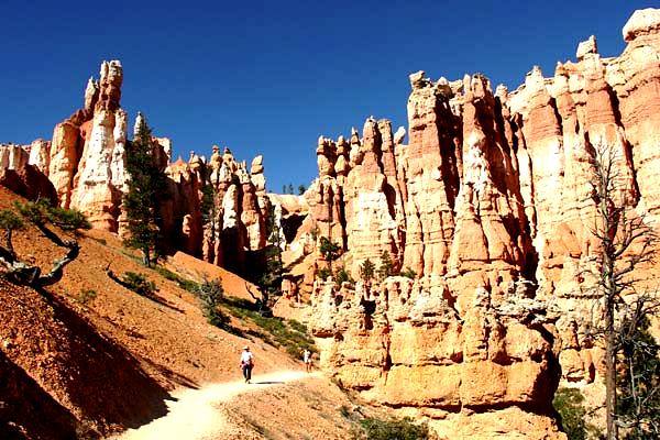 bryce-canyon-10.jpg