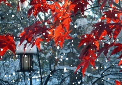 color_snow08.gif
