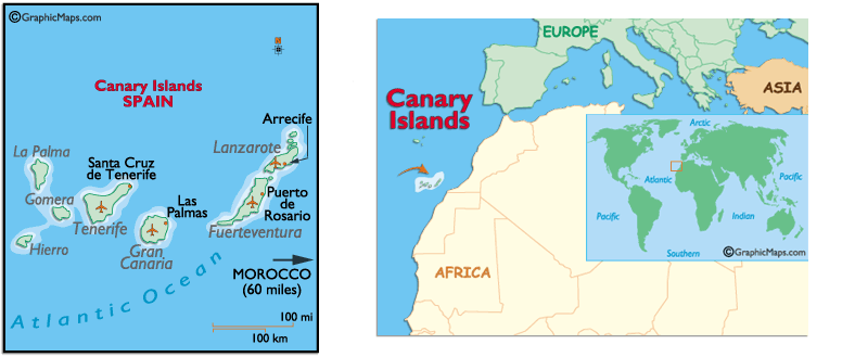 canarynw.gif