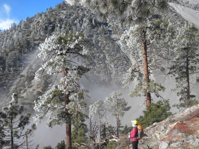baldy120609 039.jpg