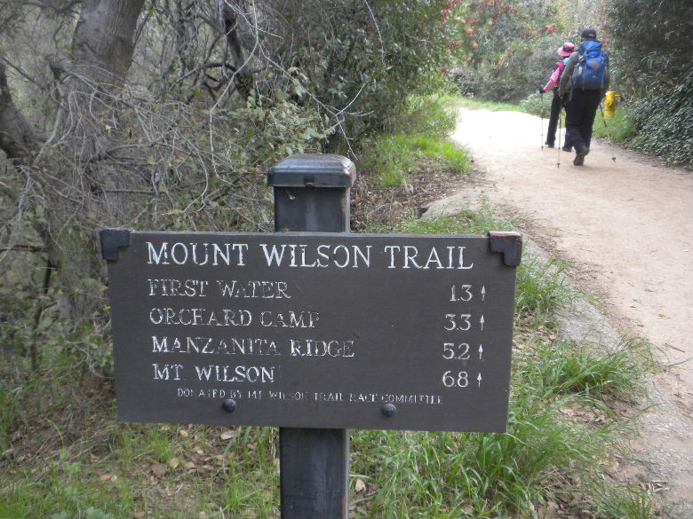 Wilson12510%20012.jpg