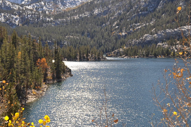 bishop102011 104.JPG