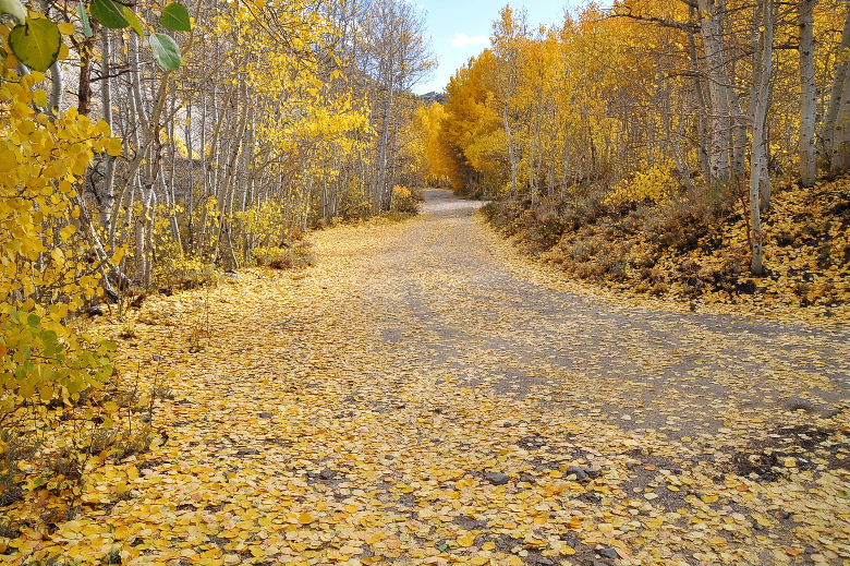 bishop102011 179.JPG