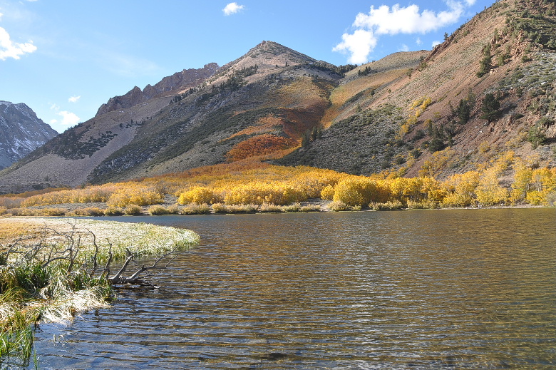 bishop102011 191.JPG