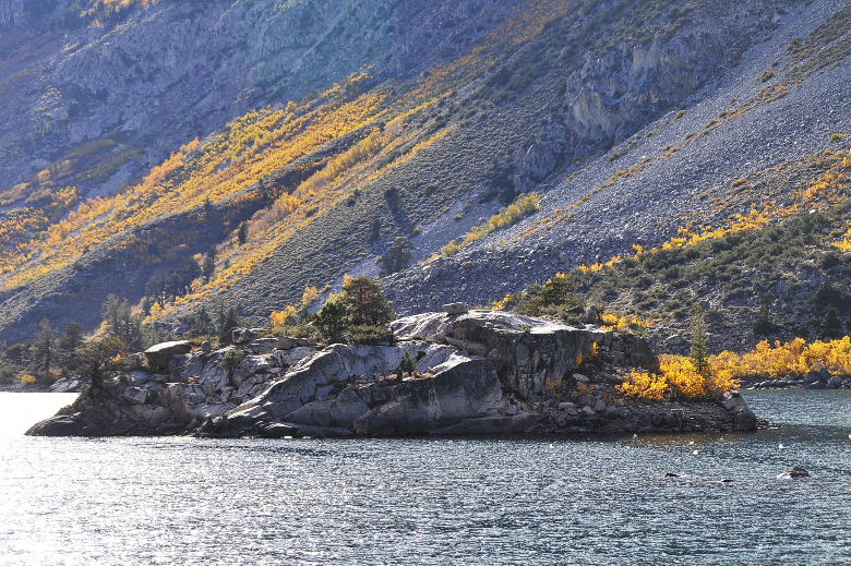 bishop102011 202.JPG