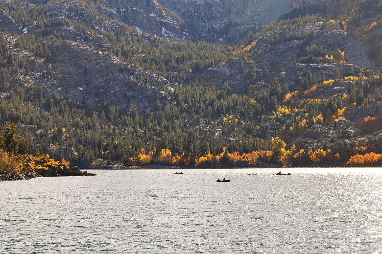 bishop102011 204.JPG