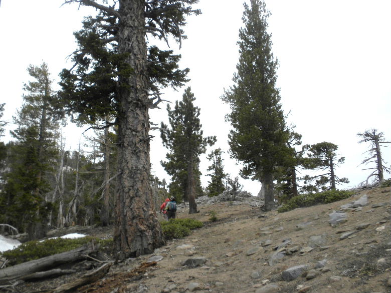 badenpowel6511 024.JPG