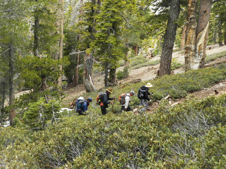 badenpowel6511 045.JPG
