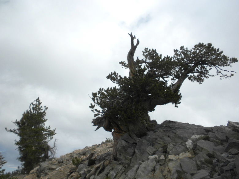 badenpowel6511 049.JPG