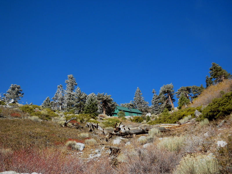 baldy120609 040.jpg