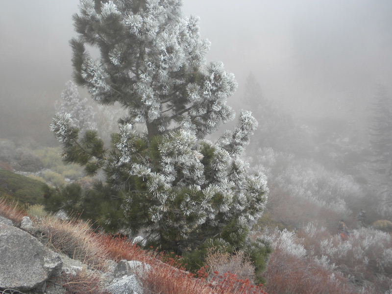 baldy120609 063.jpg