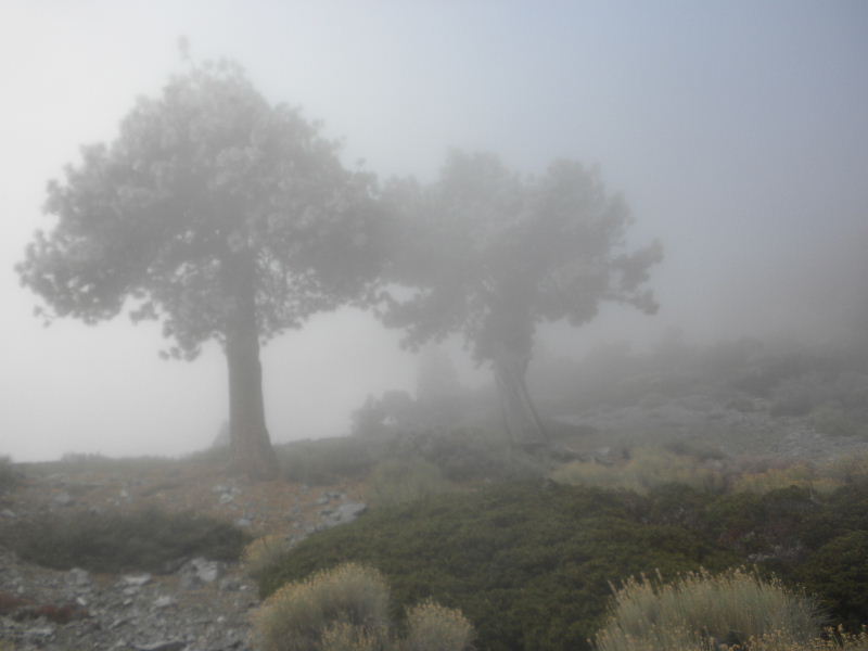 baldy120609 068.jpg