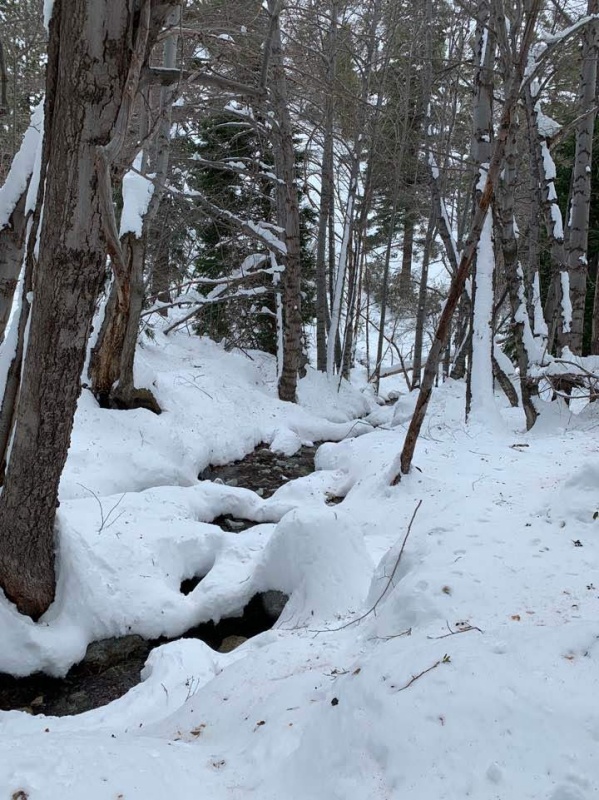 1577668066972.jpg : Ice House Canyon hike 12월 29일