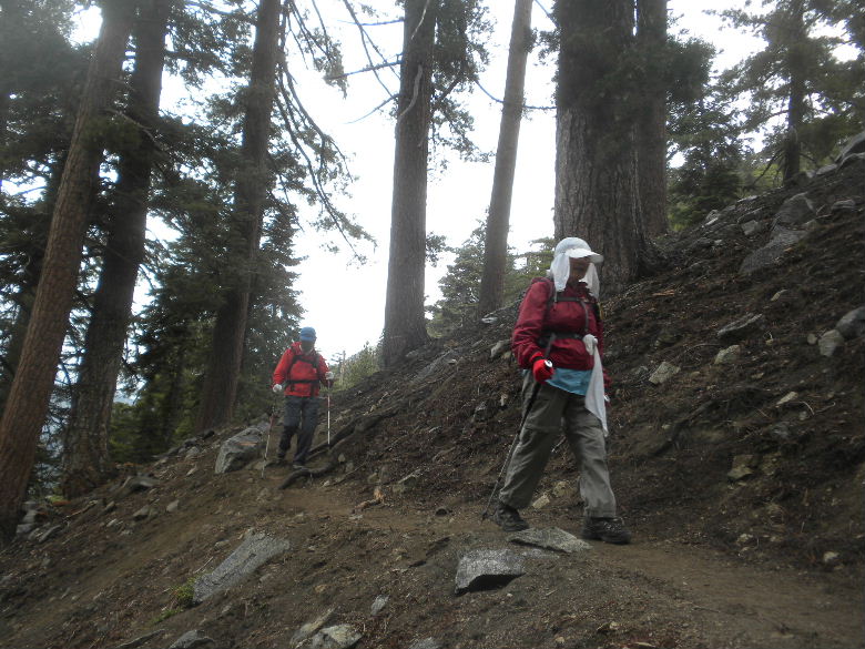 timber73111 049.JPG